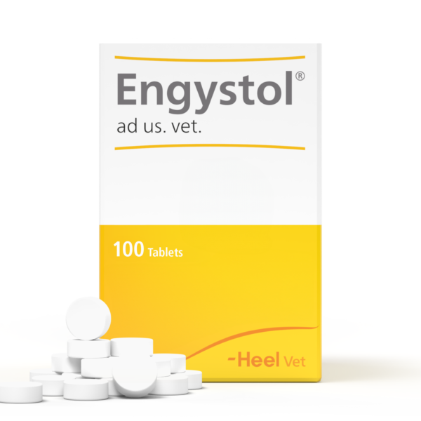 Engystol tabletas